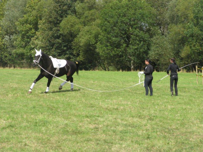 Bad Hersfeld 2011 014