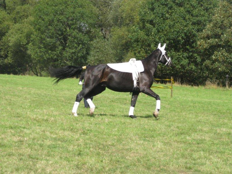 Bad Hersfeld 2011 015