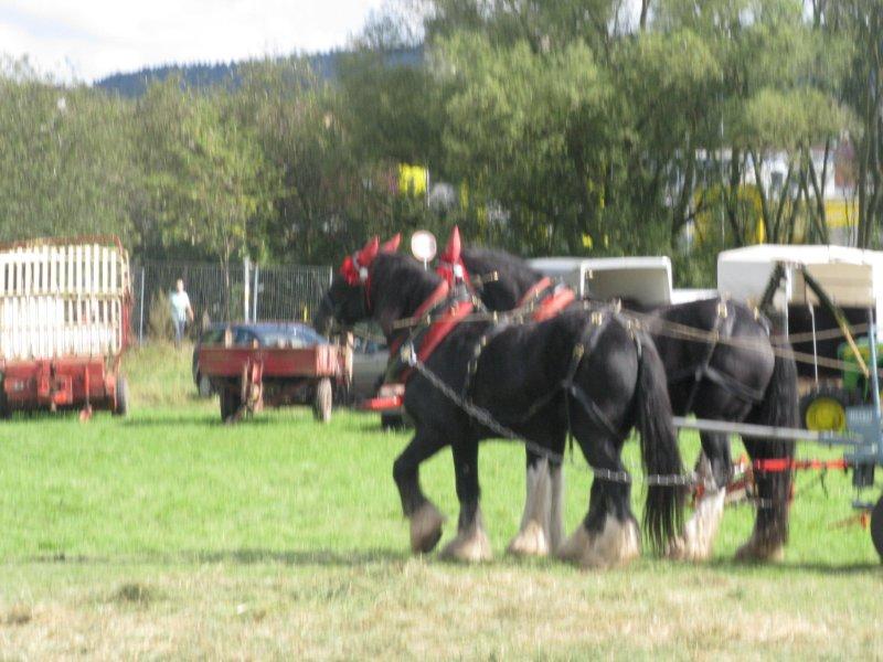 Bad Hersfeld 2011 040