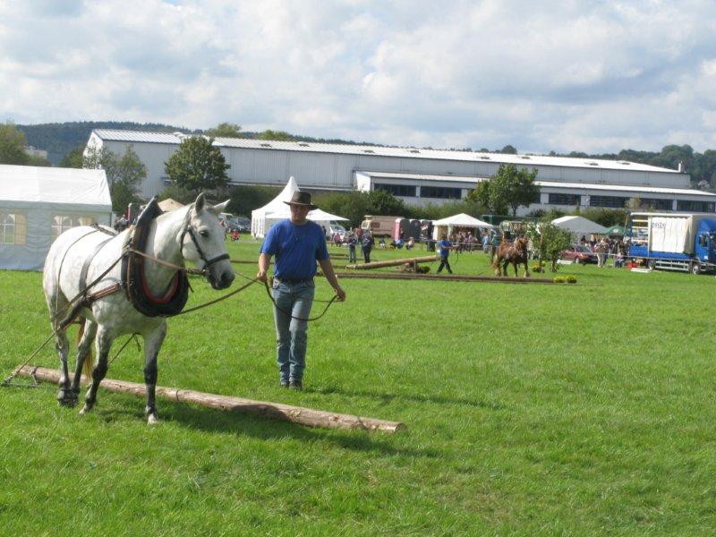 Bad Hersfeld 2011 041