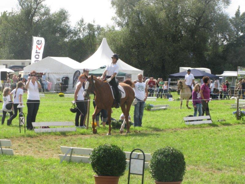 Bad Hersfeld 2011 090