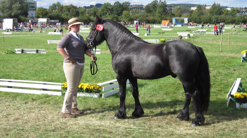 Bad Hersfeld 2011 122