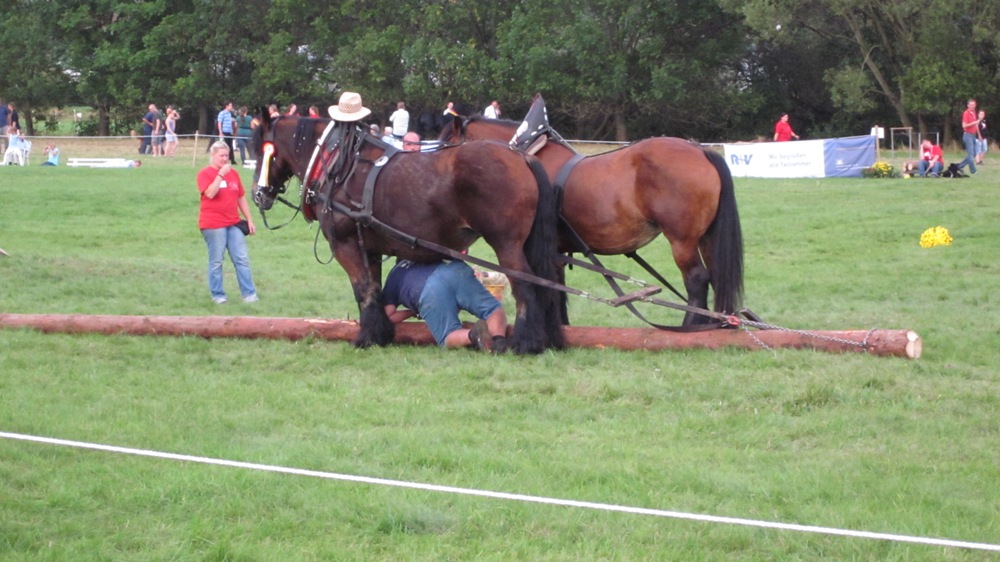 Bad Hersfeld 2011 129