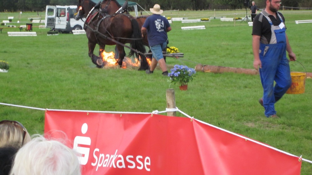 Bad Hersfeld 2011 131