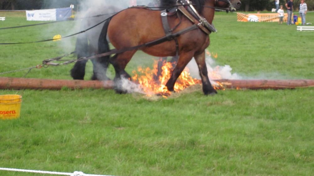 Bad Hersfeld 2011 133