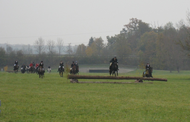 Fuchsjagd 30.10.2011 002