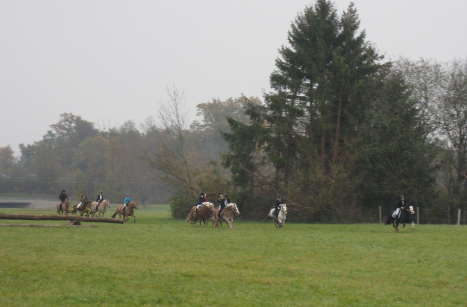 Fuchsjagd 30.10.2011 034