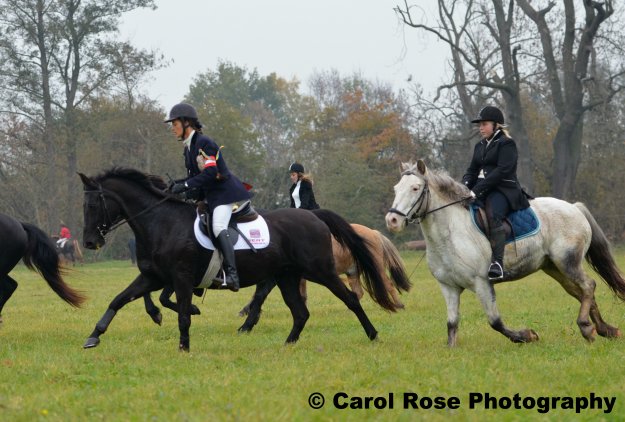 Fuchsjagd 30.10.2011 041