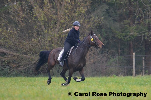 Fuchsjagd 30.10.2011 048