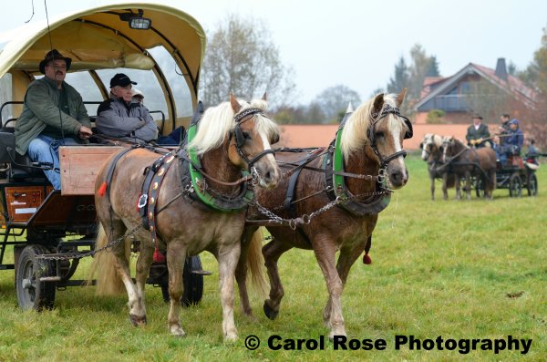 Fuchsjagd 30.10.2011 056