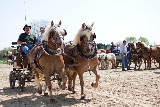 Reitverein Lich Kutschen 0001