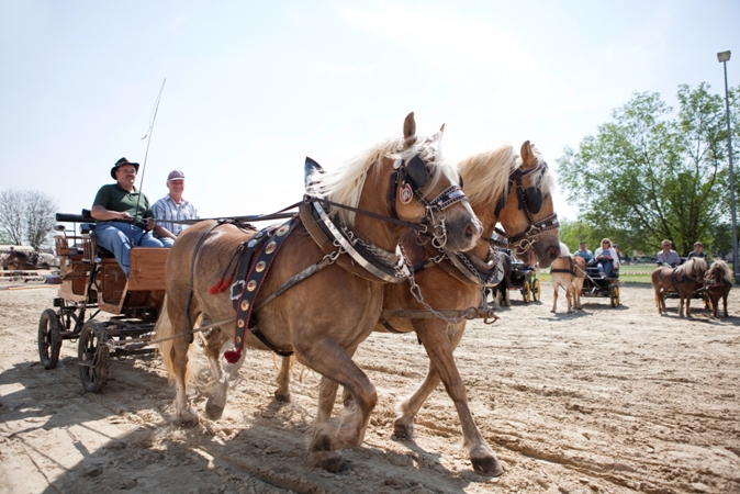 Reitverein Lich Kutschen 0002