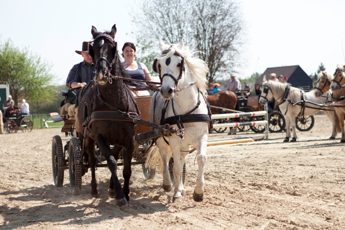 Reitverein Lich Kutschen 0004