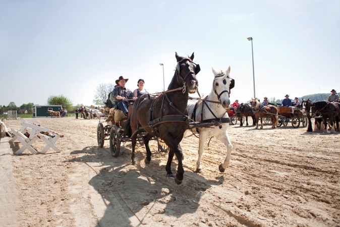 Reitverein Lich Kutschen 0005