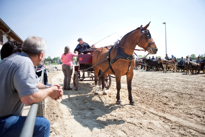 Reitverein Lich Kutschen 0010