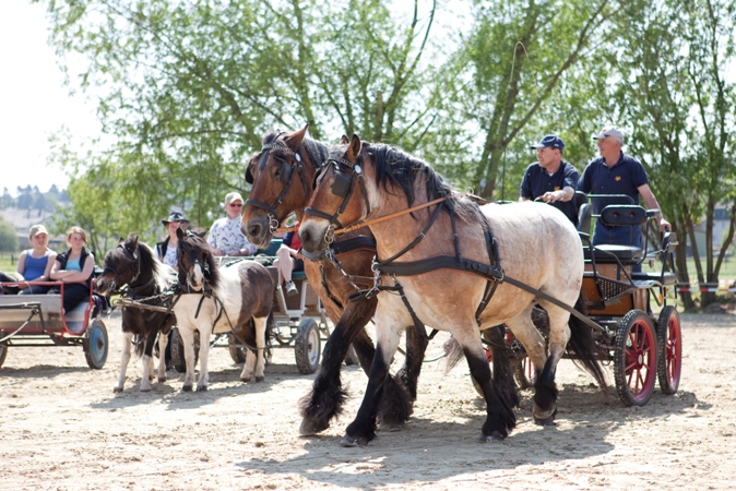 Reitverein Lich Kutschen 0013