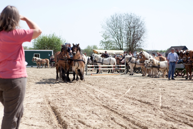 Reitverein Lich Kutschen 0015