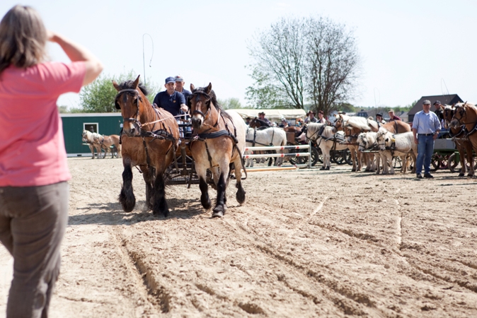 Reitverein Lich Kutschen 0016