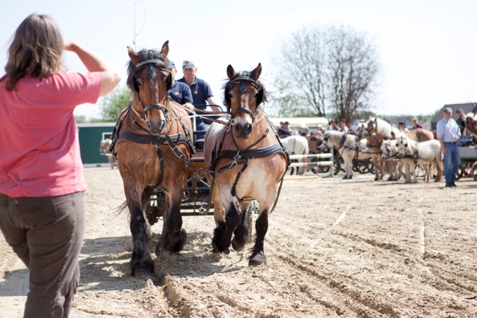 Reitverein Lich Kutschen 0017