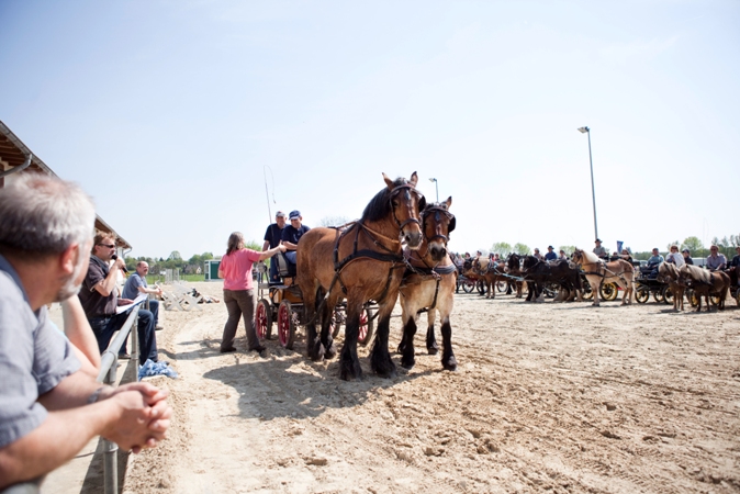 Reitverein Lich Kutschen 0019