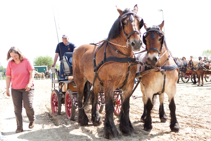 Reitverein Lich Kutschen 0020
