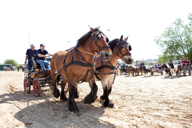 Reitverein Lich Kutschen 0022