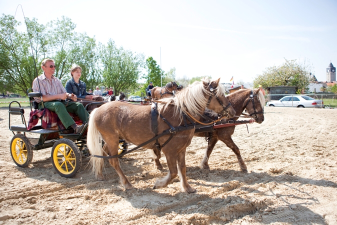 Reitverein Lich Kutschen 0024