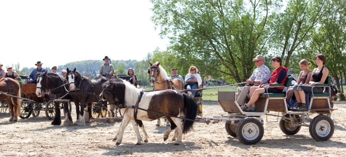 Reitverein Lich Kutschen 0028