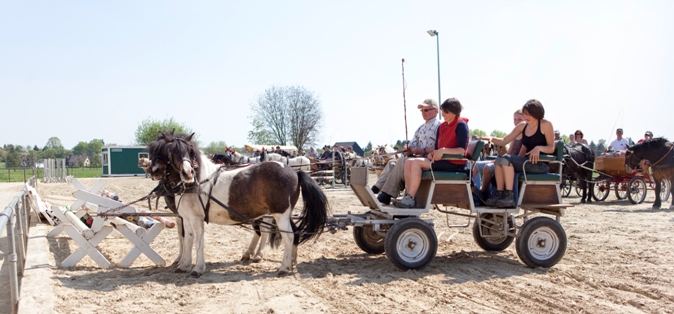 Reitverein Lich Kutschen 0030