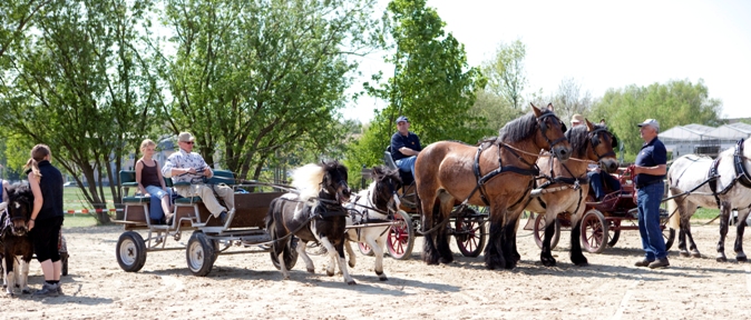 Reitverein Lich Kutschen 0032