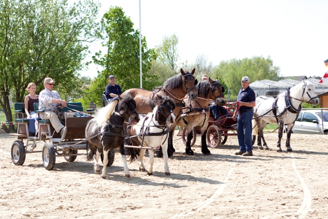 Reitverein Lich Kutschen 0033