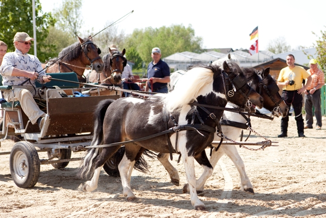 Reitverein Lich Kutschen 0034