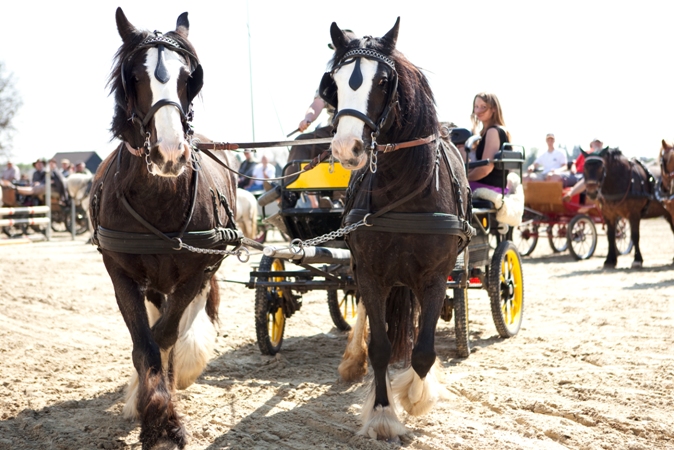 Reitverein Lich Kutschen 0038