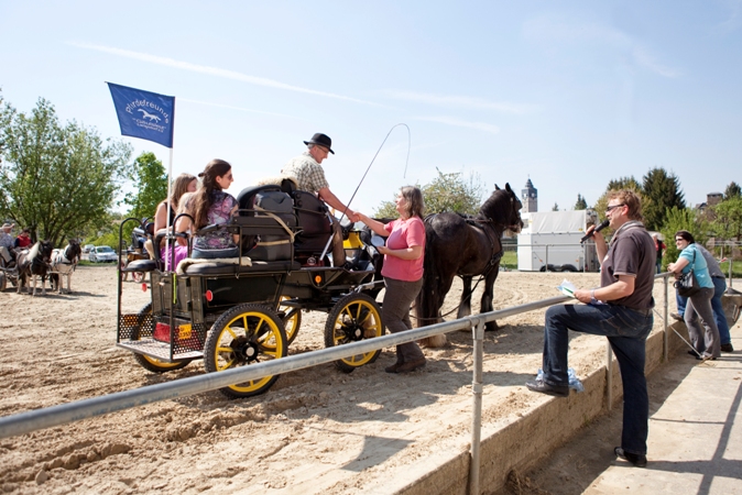 Reitverein Lich Kutschen 0040