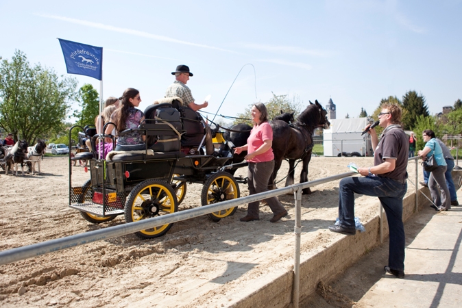 Reitverein Lich Kutschen 0041