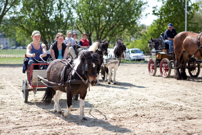 Reitverein Lich Kutschen 0042