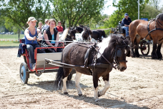 Reitverein Lich Kutschen 0043