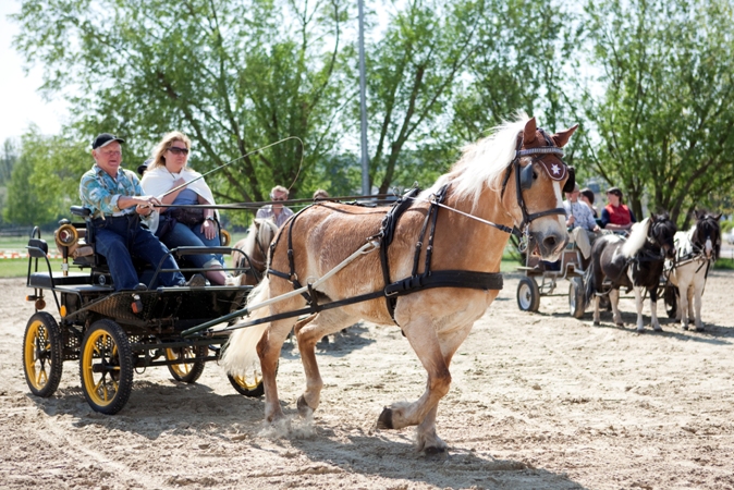 Reitverein Lich Kutschen 0047