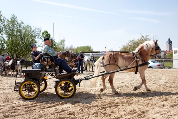 Reitverein Lich Kutschen 0048