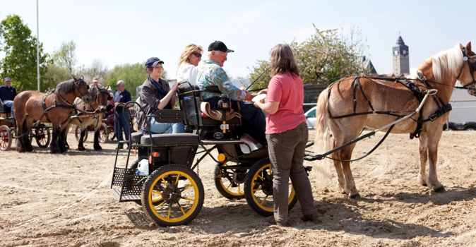 Reitverein Lich Kutschen 0049