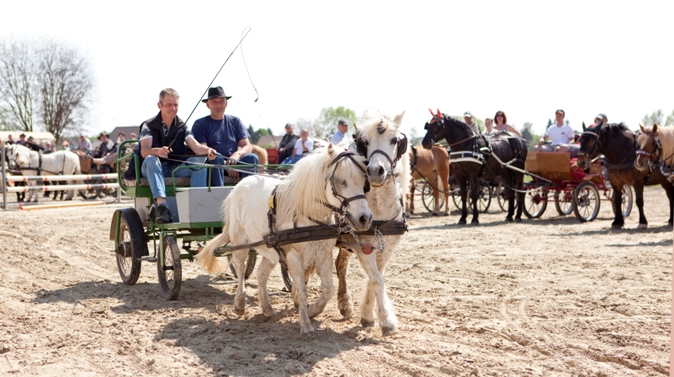 Reitverein Lich Kutschen 0051