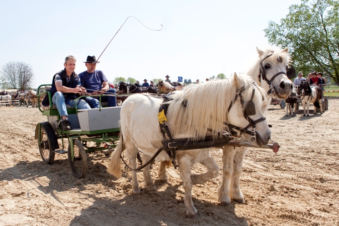 Reitverein Lich Kutschen 0054