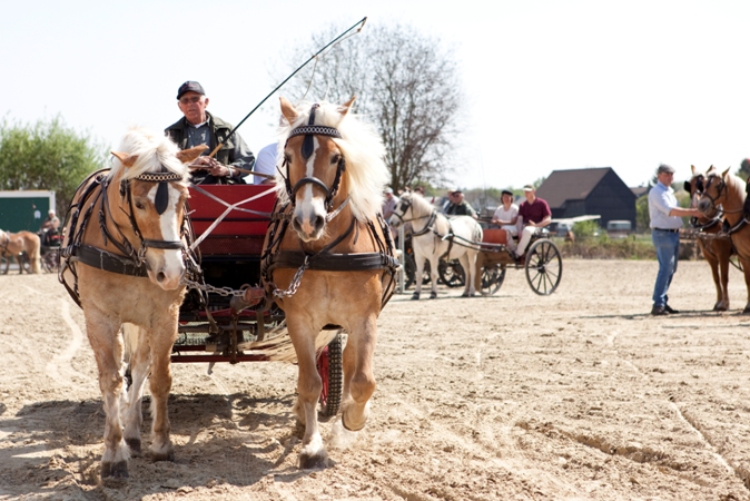 Reitverein Lich Kutschen 0057