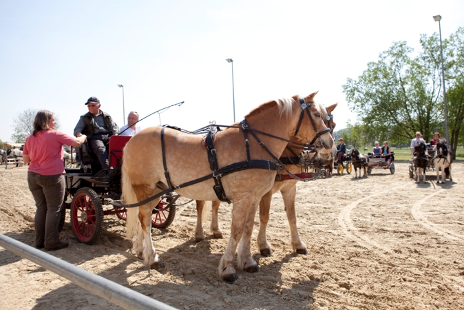 Reitverein Lich Kutschen 0058