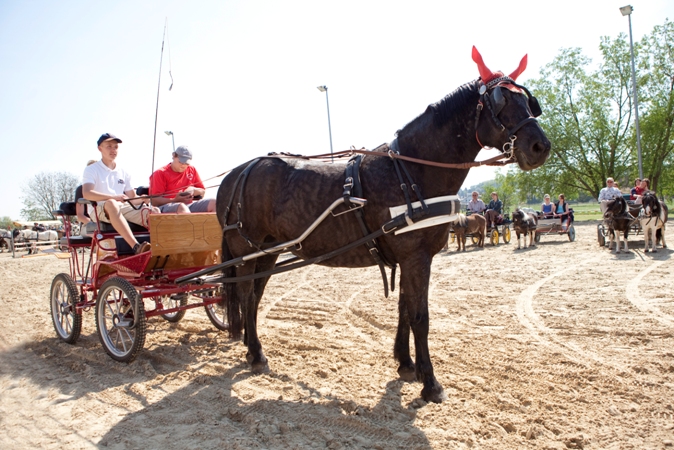 Reitverein Lich Kutschen 0063