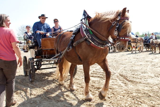 Reitverein Lich Kutschen 0065