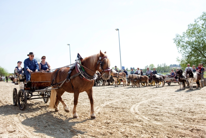 Reitverein Lich Kutschen 0067
