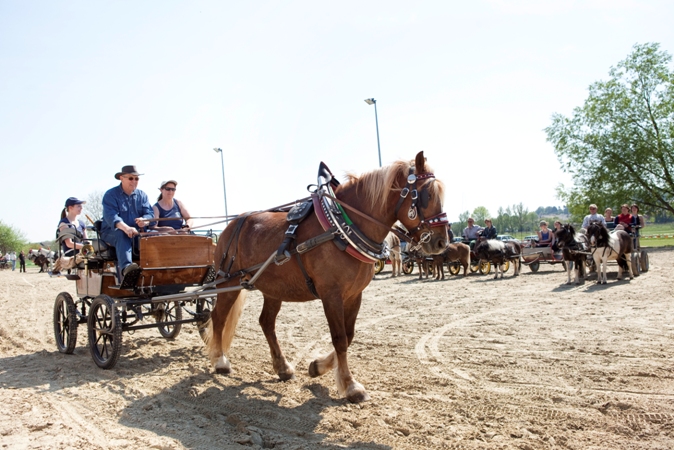 Reitverein Lich Kutschen 0068-2