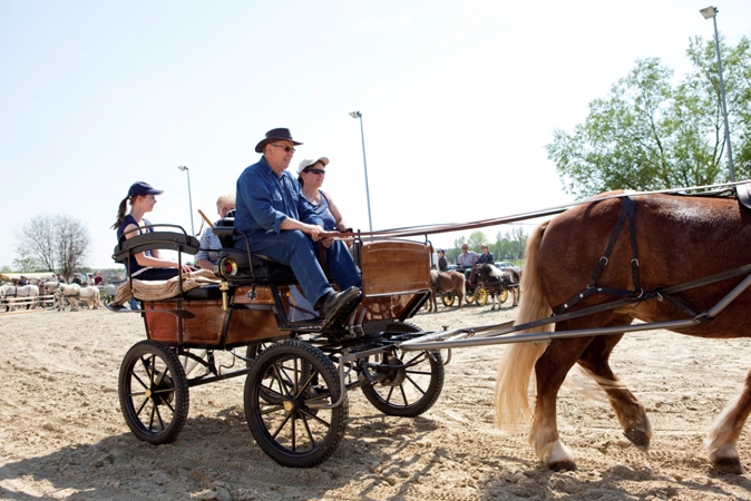 Reitverein Lich Kutschen 0069