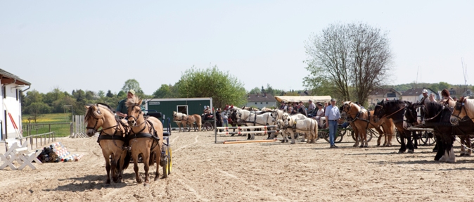 Reitverein Lich Kutschen 0071